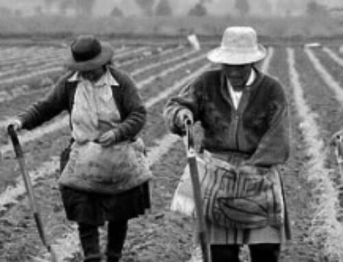 Desarrollo agropecuario del valle del cauca (TEORIA CIENTÍFICA)