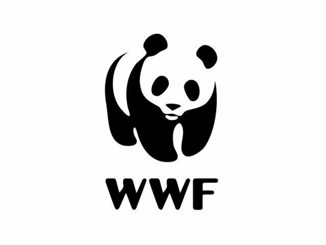 WFF