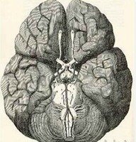 Mediados del siglo XVII.