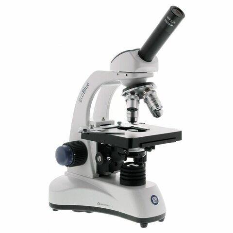 Primeros microscopistas