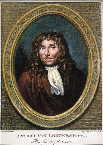 Anton van Leeuwenhoek