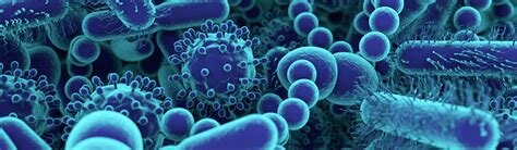 Contagium Vivum Fluidum