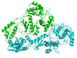 Acción de Enzima Transcriptasa