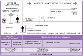 Niveles de prevención y la enfermedad