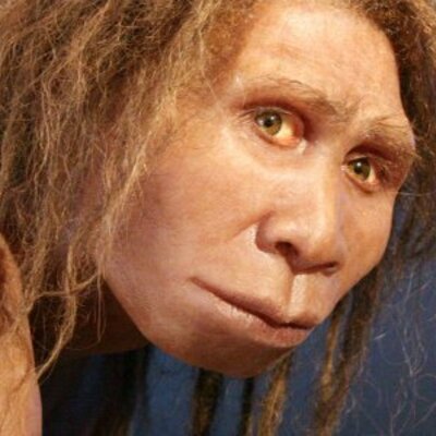 Timeline: PROCESO DE HOMINIZACIÓN