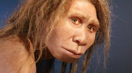 Timeline: PROCESO DE HOMINIZACIÓN
