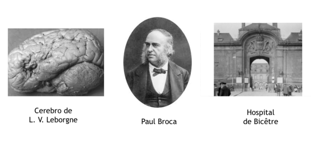 Sociedad Antropológica de París