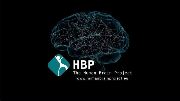 Proyecto HUMAN BRAIN