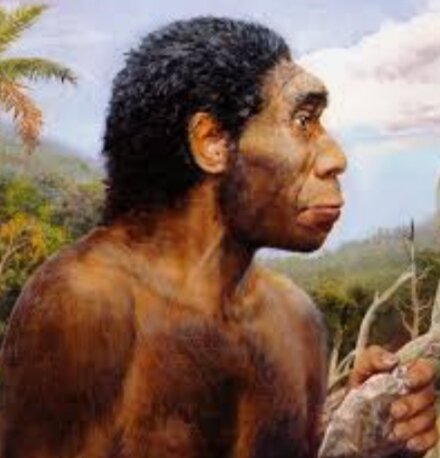 Homo Erectus(1'8Ma--100 000 años)