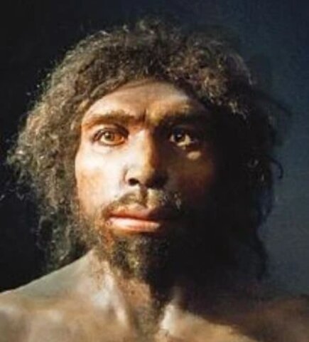 Homo Antecesor (900 000 años)