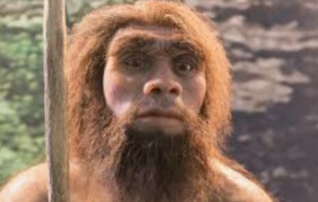 Homo Neanderthalensis (200 000 años--35 000 años)