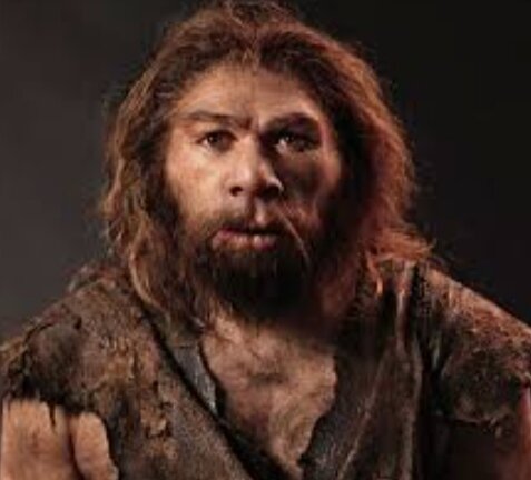 Homo Sapiens(200 000--"Actualidad")