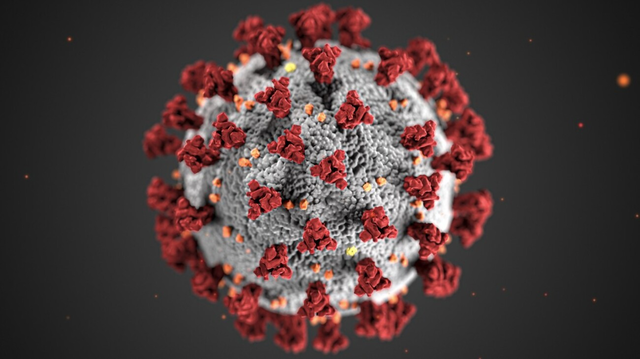 Aparicion de virus Sars-Cov-2