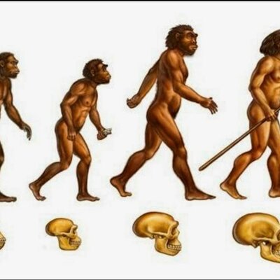 Timeline: Proceso de Hominización