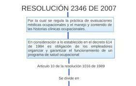 2007 Resolución 2346