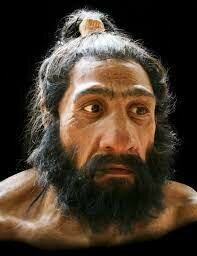 Homo neanderthalensis