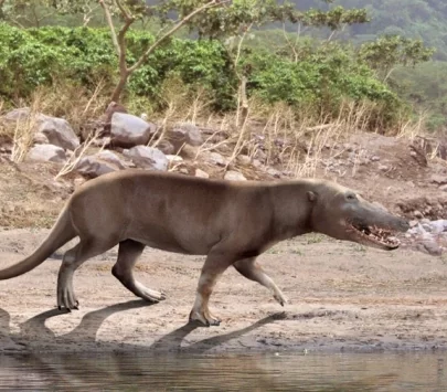 Com era la vida durant l'Eocè inferior?