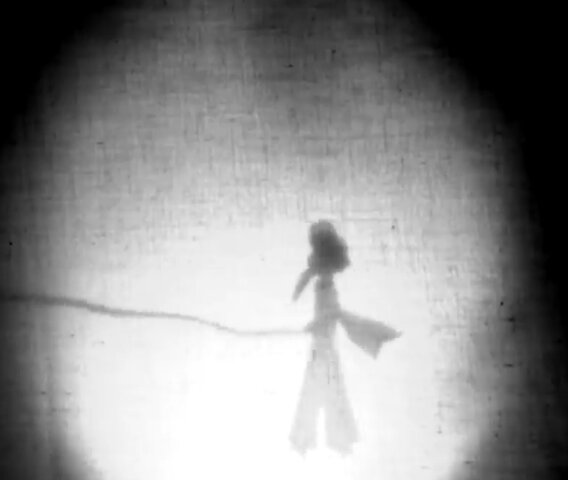 LAS SOMBRAS CHINESCAS