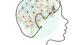 Timeline: Historia de la neurociencia