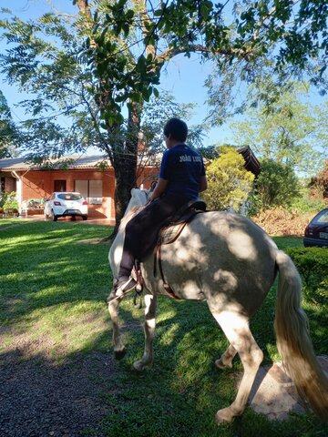 Fourth year - Online class Pindorama