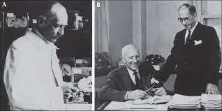 Se realiza la primera cirugía de epilepsia