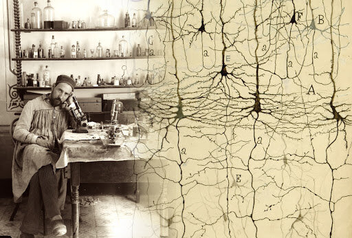 Doctrina neuronal por Cajal