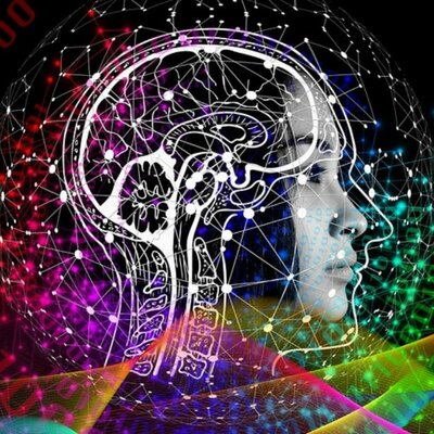 Timeline: Historia de la neurociencia