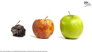 La ley de la conservación de la materia