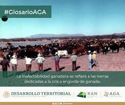 Inafectibilidad ganadera