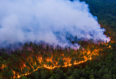 Incendio Forestal en Siberia