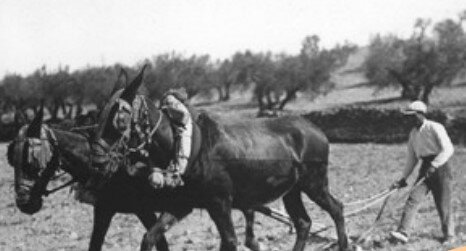 The tiet Josep says that with the republic our life will improve