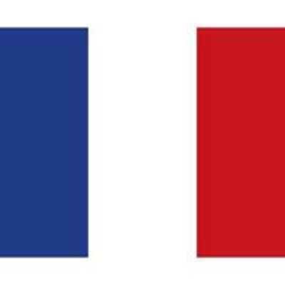 Timeline: Reyes de Francia