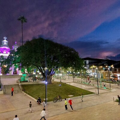 Timeline: Iniciativas culturales