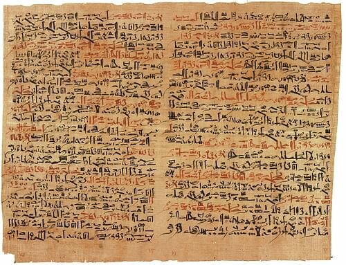 Papyrus in Egypt