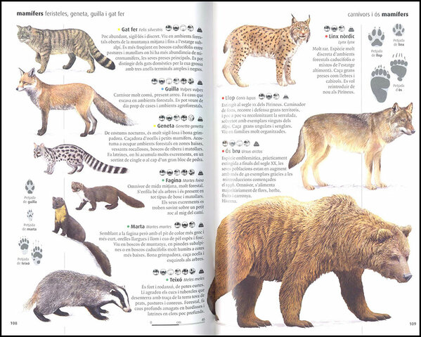 Animals dels Pirineus entre fa 2 milions d'anys i l'actualitat