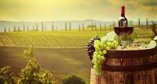 Tierra del vino