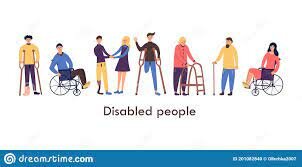 Sistema Nacional de Discapacidad