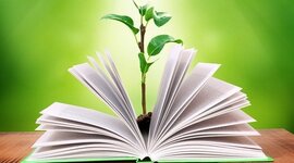 Timeline: Línea de tiempo de la evolución histórica de la Educación Ambiental