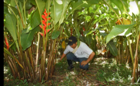 Resguardo indigena Marcelino Tascon