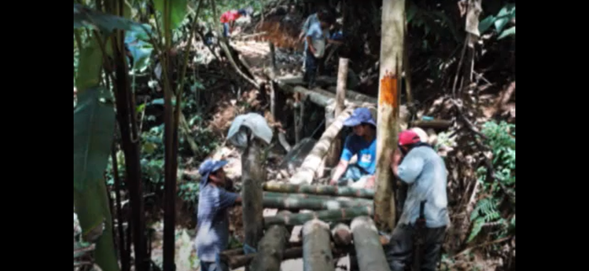 Resguardo Indigena Marcelino Tascon