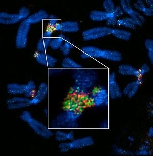 Super-resolution microscopy