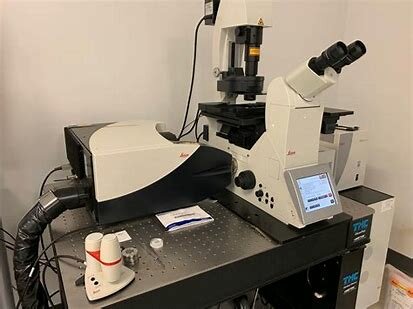 Confocal laser scanning microscope