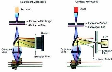Confocal imaging principle