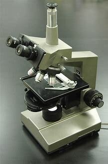 Phase contrast microscope