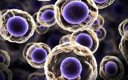 Living cells first seen