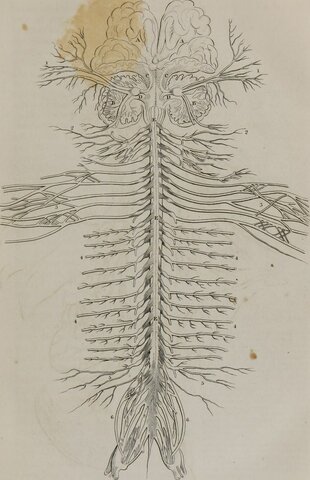 Desarrollo de las ciencias biológicas