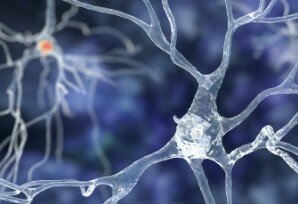 Posgrado de Neuropsicología