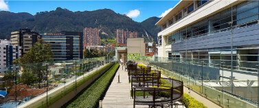 Instituto Konrad Lorenz