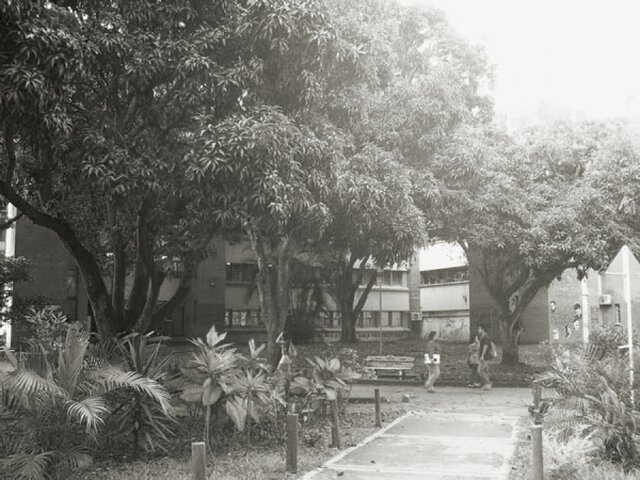 Psicología, Universidad del Valle