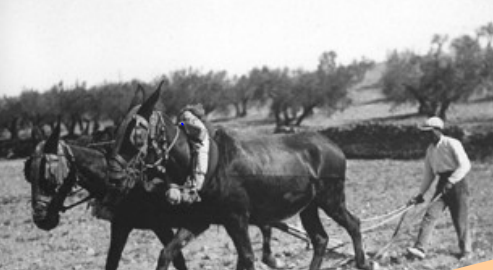 The tiet Josep says that with the Republic our life will improve (1931-1933)